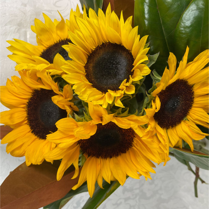 Simply sunshine