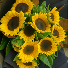 Load image into Gallery viewer, Simply sunshine